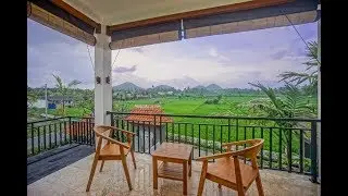 Spacious Villa With Stunning Rice Field Views - Villa for lease in Ubud Property