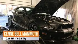 Kenne Bell Mammoth Cobra