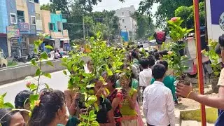 krishnaveni school peerzadiguda celebrations of harithaharam#school #growplants#plants #tree #viral 
