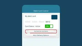 How To: Use Debit Card Control