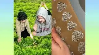 🤣👌👌👌2026 pov Must-Watch Crazy Clips Compilation #humor #fypシ #pov #fyp #foryou #funny 😍😜