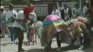 客家人舞师 Hakka Lion Dance