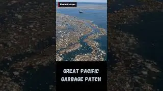 The Great Pacific Garbage Patch 🌊  #pacificocean #shorts #trending #viral