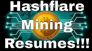 Hashflare Mining Starting Again?