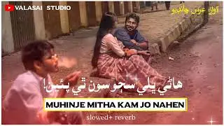Hane Bhali Sajo Son Thi Payen-Mohammad Urs Chandio-Sindhi Hit Song-@ValasaiStudio Sindhi Kalam video