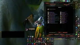 Turtle WoW SA - BWL - Warrior