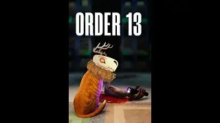 I'm doing it for my cat. Playing Order 13.