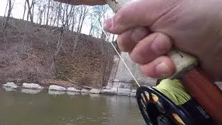 Big Lake Ontario Run Brown Trout