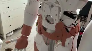 Inmoov robot