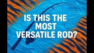 Ugly Stik Tiger Elite Review: Is This the Most Versatile Fishing Rod?