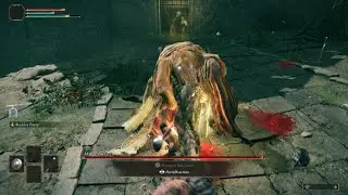 Margit Hitless With Parries