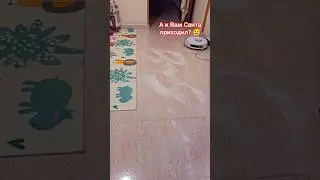 А к Вам Санта приходил?