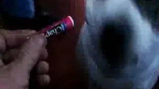 Buster dog hates chapstick!