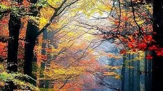 A Journey Through Breathtaking Landscapes.☘️🌿.#natural #nature #naturestyle.