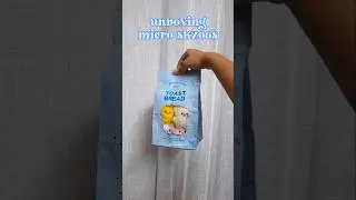 unboxing (unofficial) micro skzoos! SKZOO plush