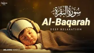 Surah Al-Baqarah سورة البقرة | Ultimate Protection & Peaceful Sleep Quran - By Alaa Yaseer