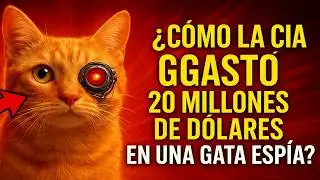C&oacute;mo la CIA gast&oacute; 20 millones de d&oacute;lares en una gata esp&iacute;a que arruin&oacute; la misi&oacute;n en solo 10 segundo