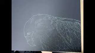 Eagle 1 - Initial transferred image