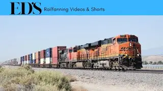 Railfanning Videos 2025 / How Many Trains Pass Here Every Day?