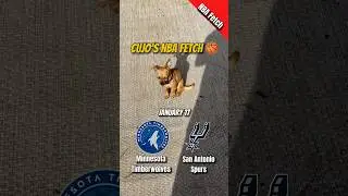 Cujo&rsquo;s NBA Fetch | Minnesota Timberwolves vs San Antonio Spurs 🏀 01-17-2026 NBA #cujocatches
