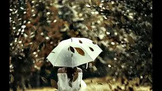 Incredible Autumn Vocal Trance ❤️ ❤️ ❤️