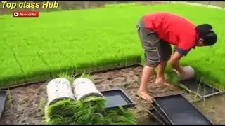 Intelligent Technology Smart Farming|| Modern Agriculture Technology: