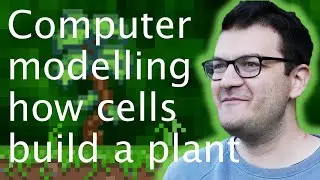 Morphogenesis: modelling how cells form shapes - Argyris Zardilis