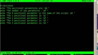 Positional Parameters BASH script tutorial