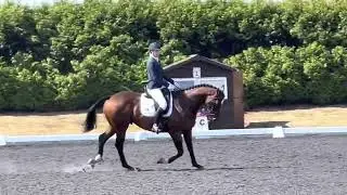 Arogo, prelim freestyle to music area festival, Sheepgate, 9/8/2022 68.81%