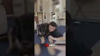 Lacy explains that he got his username &ldquo;Lacy&rdquo; from his childhood dog of 13 years 👀❤️