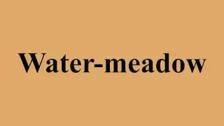 Water-meadow