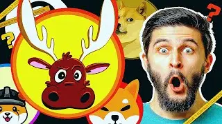 THE NEXT 100X ALTCOIN GEM AFTER SHIBA INU COIN The Yukon Crypto is the Next Meme Coin to Buy