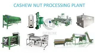 Cashew Processing Plant|Cashew Nut Processing Line|Cashew Production Line|Cashew Nut Production