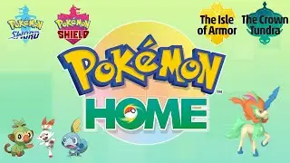 Sub Zero Temperatures and A Completed Galar Pokedex in Pokemon Home
