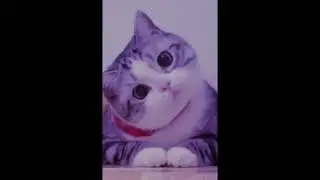Sub&iacute; phunks a YouTube asta que me desmonetizen capit&aacute;n gato y estar VTUBER