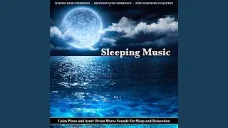 Asmr Ocean Waves for the Best Sleep
