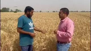 Dayal Kanak moti