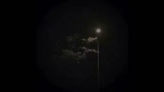 { free } joji x shiloh dynasty lofi type beat (WITH VOCALS) // SONDER