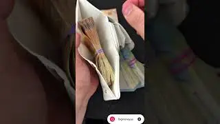 Counting 500 Euro Notes | ASMR Money Sounds