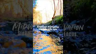 When Wednesday Feels Heavy, Let It Flow 🌿 Relaxing Water White Noise 🌊 Flowing River Ambience