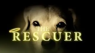 The Rescuer - Feature film about animal Rescue - Streaming for FREE