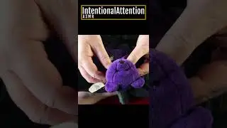 Remote Healing Through Proxy... and Love! #shorts Let's Have Intention With Our Reiki