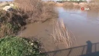 Menderes taştı, y&uuml;zlerce d&ouml;n&uuml;m sular altında kaldı