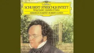 Schubert: String Quintet In C Major, D. 956: 3. Scherzo (Presto) - Trio (Andante sostenuto)