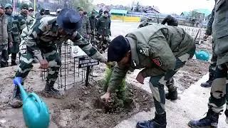 #bsf #kashmir Held Plantation Drive in #srinagar #jammukashmir #bsfstatus #jammuandkashmirnews