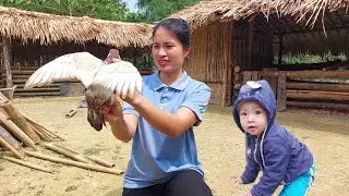 Build a small house for pigeons, expand the farm, farm life