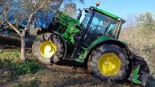 24-12-2024 (2.ª parte) Vareja Mecânica/Motorizada (Vilares da Vilariça) Apanha da Azeitona