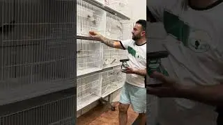 ULTRA GRIT | Mineral essencial no manejo de aves de médio porte