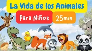 La Vida de los Animales: 11 Increíbles Animales Explicados para Niños