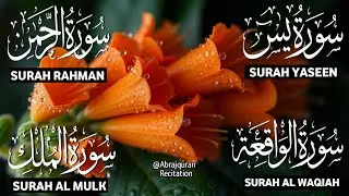 Surah Yaseen ❤ Surah Rahman ❤ Surah Al Waqia ❤ Surah Al mulk Soothing Quran recitation | Ep000386